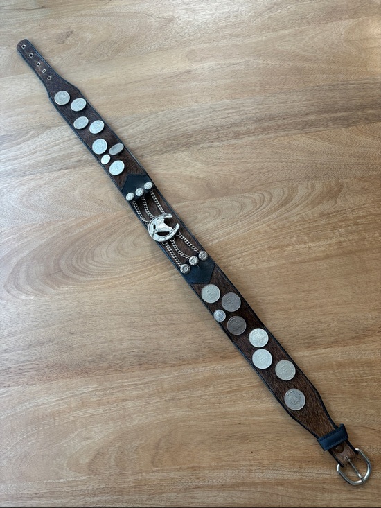 Brown and Silver Gaucho Leather Coin-Accented Belt main image 4